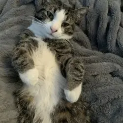 Photo of Nyx
