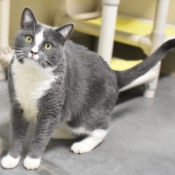 Photo of Ms. Paw Paw