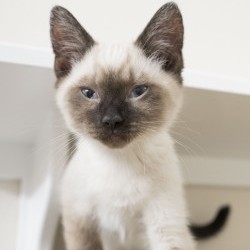 Photo of Leonard