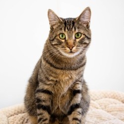 Photo of Sprocket