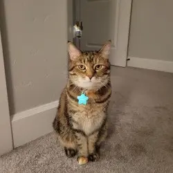 Photo of Hazel