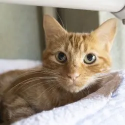 Photo of Beverly