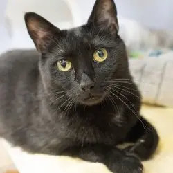 Photo of Fran
