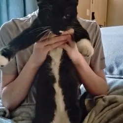 Photo of Odin