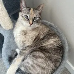 Photo of Luna Lovegood 