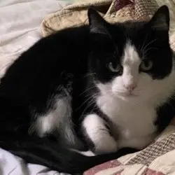 Photo of Little Baby 