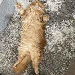 Photo of Diggory 
