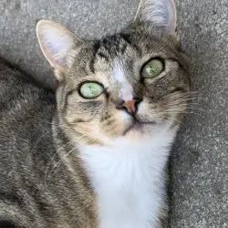 Photo of Un-named
