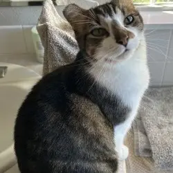 Photo of Luna