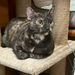 Photo of Kiki
