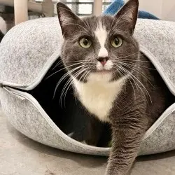 Photo of Ms. Paw Paw