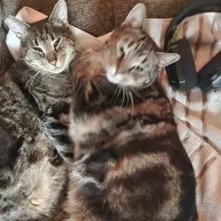 Photo of Marz and Stimpy