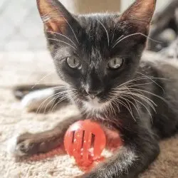 Photo of Soul