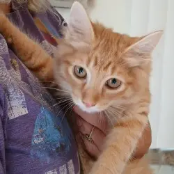 Photo of Sparky