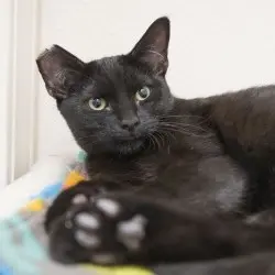 Photo of Zipper