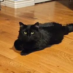 Photo of Tommy & Jerry