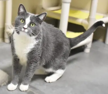 Photo of Ms. Paw Paw