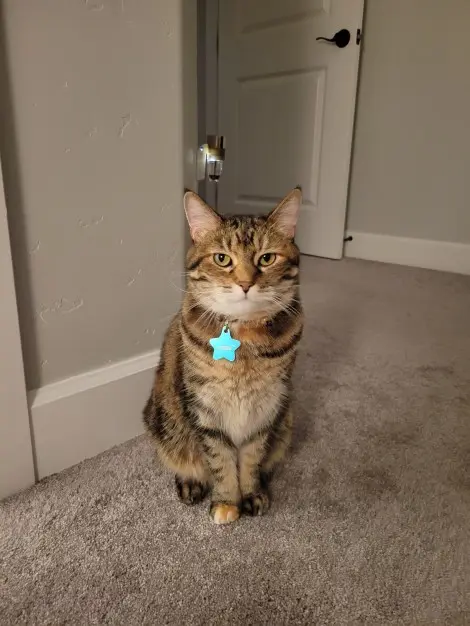 Photo of Hazel