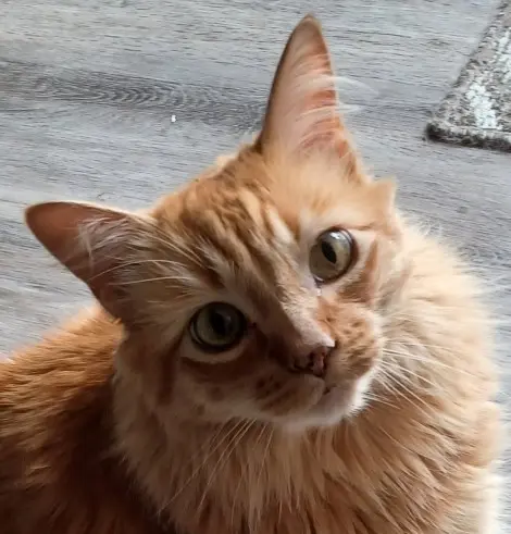 Photo of O’Malley 