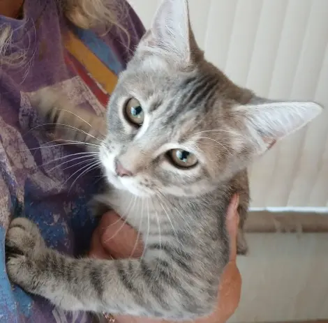 Photo of Freya