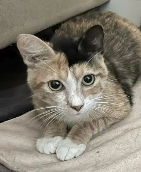 Photo of Gwen