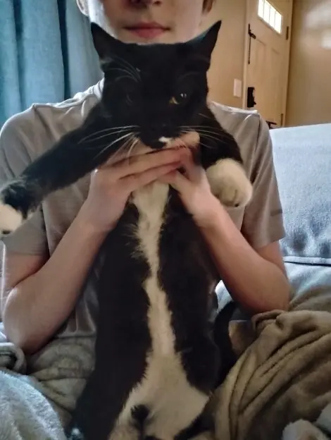 Photo of Odin