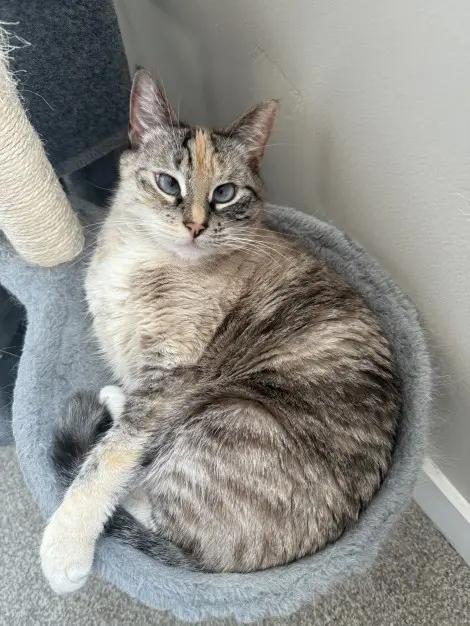 Photo of Luna Lovegood