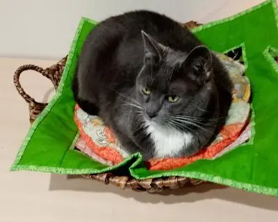 Photo of Gracie Grayface Townsend