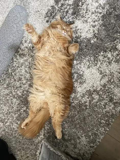 Photo of Diggory 