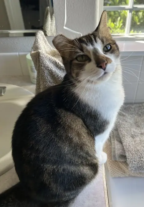 Photo of Luna