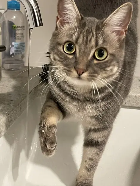Photo of Penelope