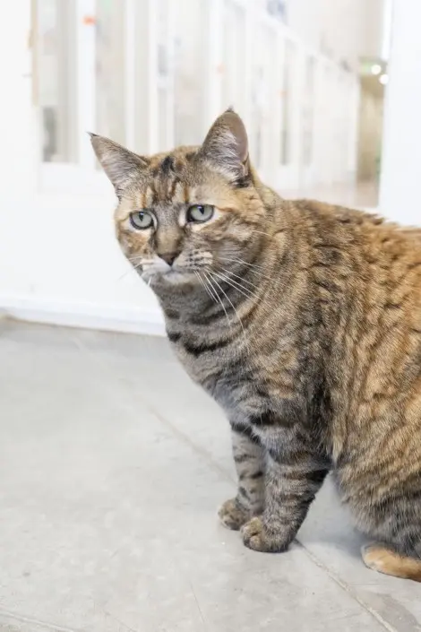 Photo of Peppermint Patty