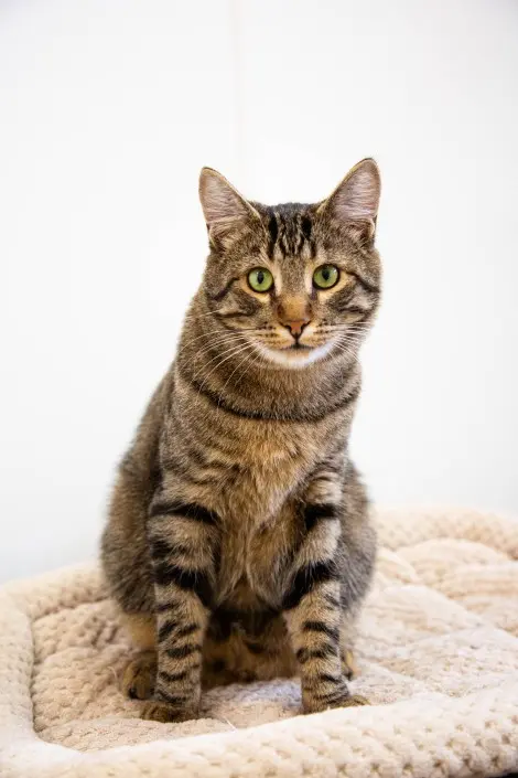 Photo of Sprocket