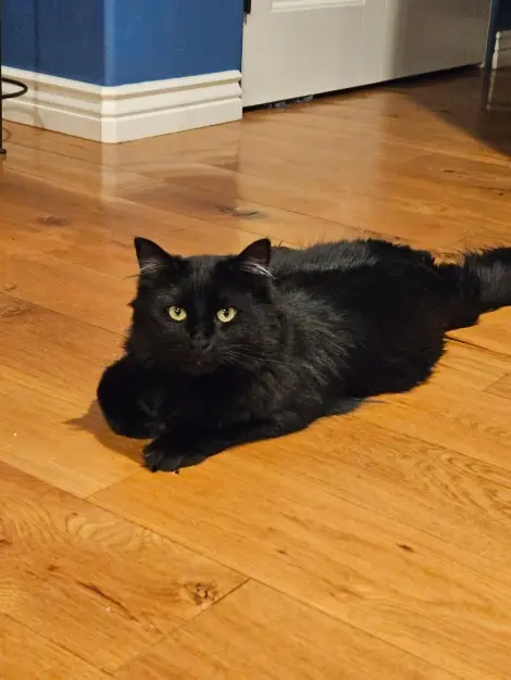 Photo of Tommy & Jerry