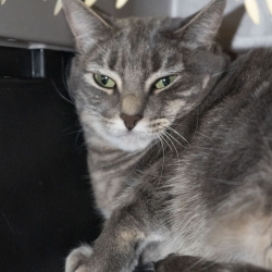 Photo of Carbon