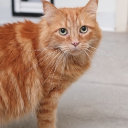 Photo of Chloe