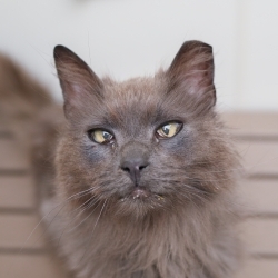 Photo of Edgar