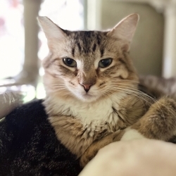 Photo of Flora