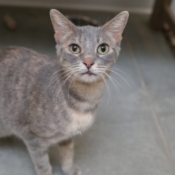 Photo of Gretchen