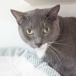 Photo of GusGus