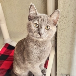 Photo of Nina