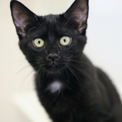 Photo of Nora