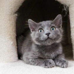 Photo of Storm