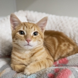 Photo of Sunnie