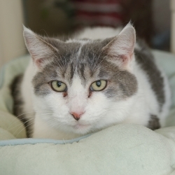 Photo of Sweetie