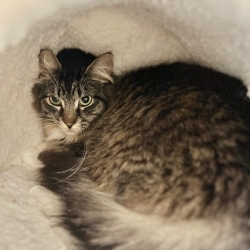 Photo of Tuffy