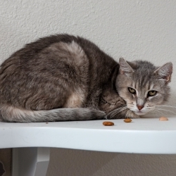 Photo of Whimsey Lou