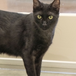 Photo of Zevy