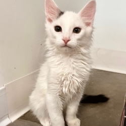 Photo of Zip