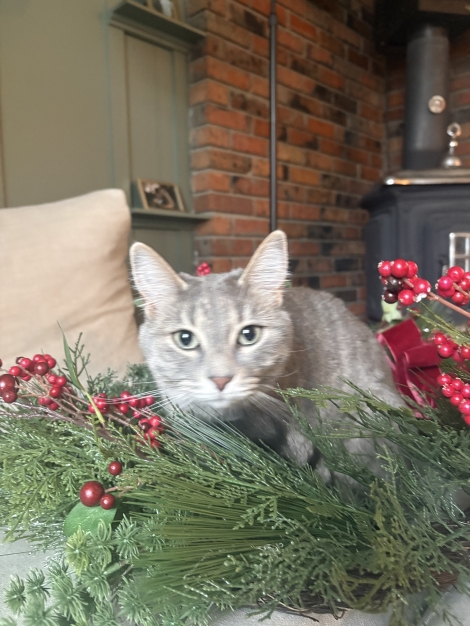Elsie